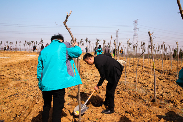 “携手植树，共创蓝天”丨南京新华师生共筑新华育才林