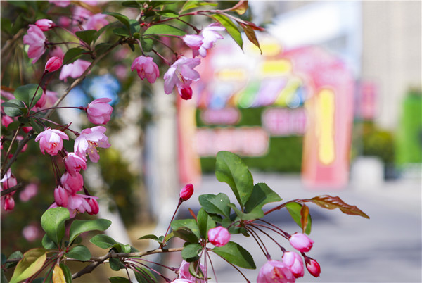 春暖花开，等你归来——邀你云赏南新春景，以慰思念