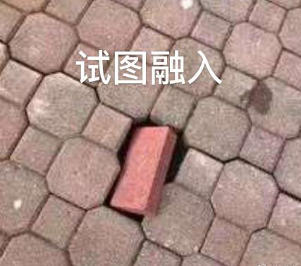 新華互聯(lián)網(wǎng)科技正式入駐Bilibili！會(huì)摩擦出什么樣火花呢？