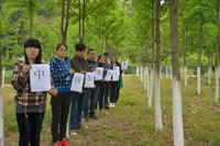 �Ű�����