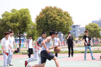 �Ͼ��»�����һƬ��������