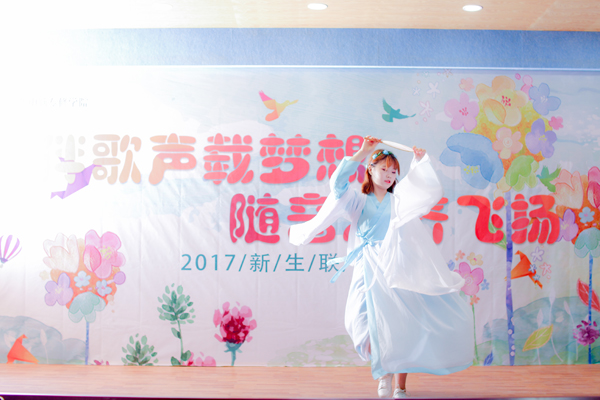 2017ᡪô