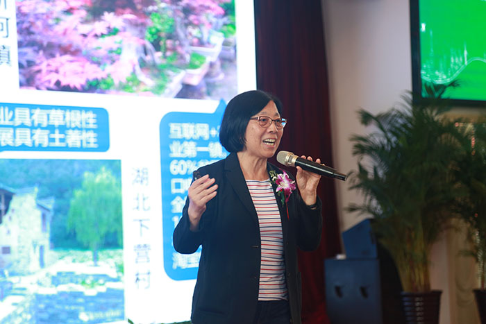 清华大学华商研究中心副主任刘鹰教授做研讨会分析